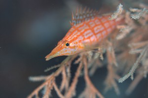 img_5915