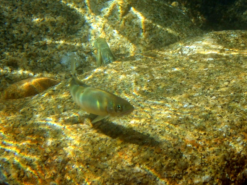 dscf2789-1