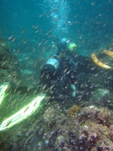 P6270020