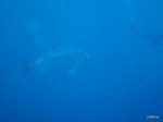DSCF0858