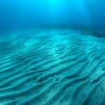 屋久島の海で、ひたすらに「砂」・・。(笑)