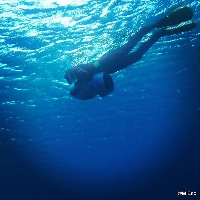 屋久島の海・川で