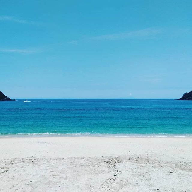 屋久島の海・川で